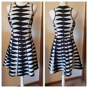 Adelyn Rae fit & flare dress. Anthropologie. small